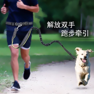 [解放雙手] 跑步牽引繩 伸縮款 遛狗繩 懶人遛狗