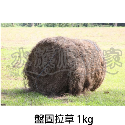 水族爬蟲家 陸龜爬蟲牧草馬1kg 牧草乾草兔子苜蓿草紫花苜蓿草兔子牧草天竺鼠陸龜墊材 蝦皮購物