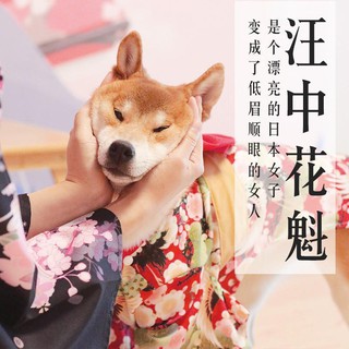 日式櫻花寵物和服 優惠推薦 21年10月 蝦皮購物台灣