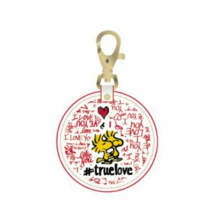史努比 Snoopy true love 造型卡 一卡通 另售 悠遊卡 & icash 卡