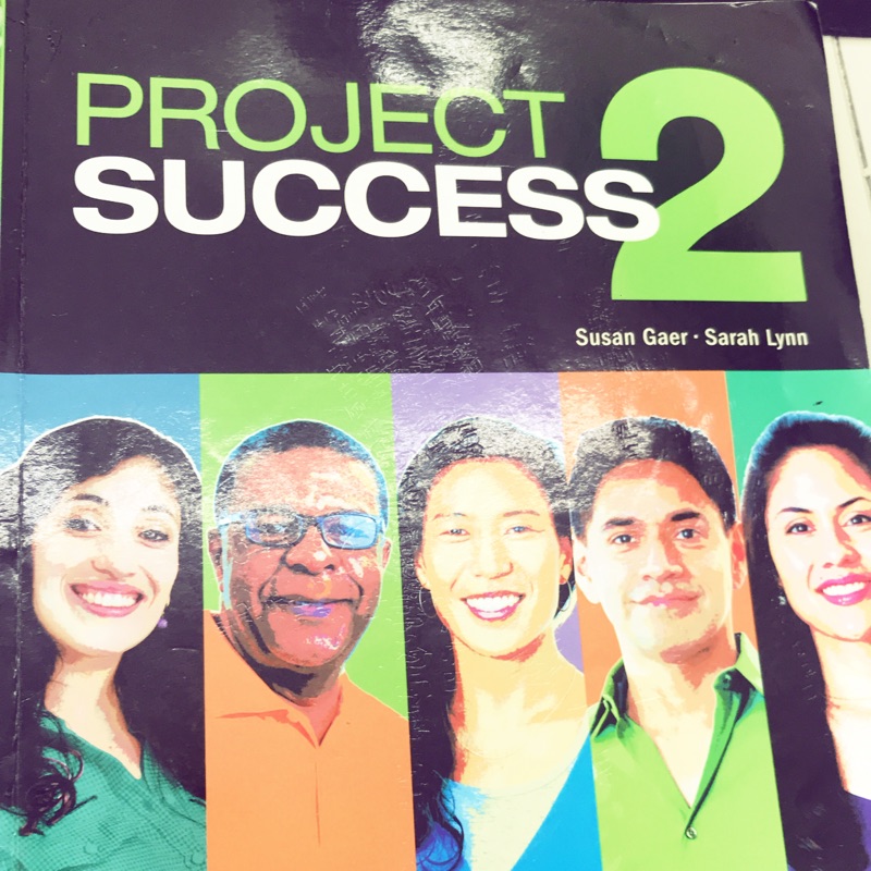 Project success 2