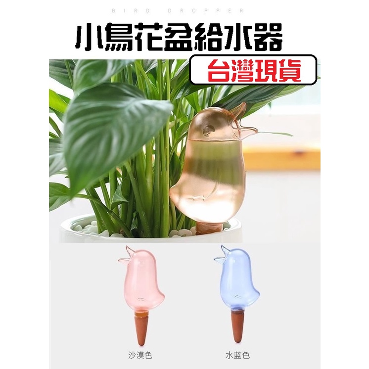 自動給水器 全新現貨 小鳥滴水器自動澆花器澆花器自動給水給水器花盆滴水器園藝滴水器多肉植物澆水器儲水器