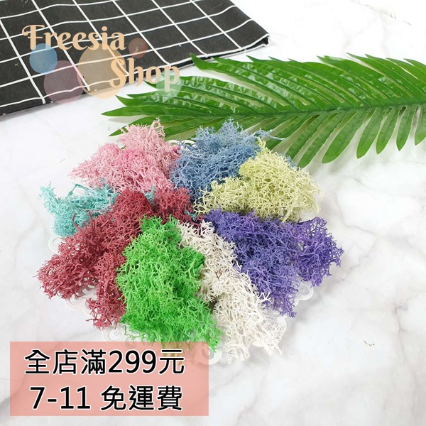 台灣現貨 馴鹿草 花藝材料馴鹿苔水草苔草moss草永生苔多肉植物微景觀永生花不凋花用鋪 蝦皮購物