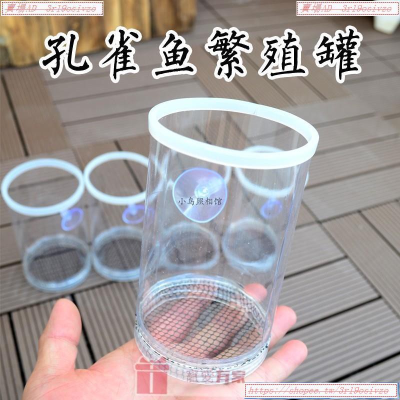 3rl 孔雀魚繁殖盒魚缸隔離網產子罐產箱母魚生小魚分離產房大孵化網 蝦皮購物