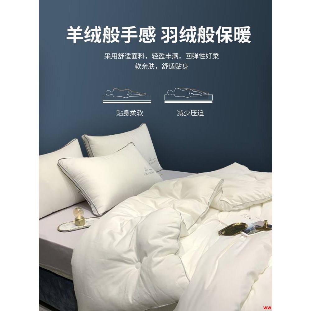 新品熱銷 被子冬被加厚保暖棉被冬天德 絨 太空被芯單雙人春秋被四季通用 蝦皮購物