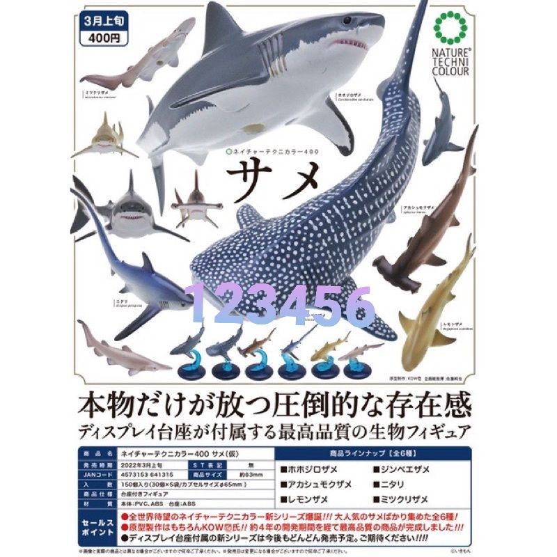 ntc 鯊魚篇 扭蛋 轉蛋 盒玩 生物模型 自然生物 鯨鯊 海洋生物 仿真 豆腐鯊