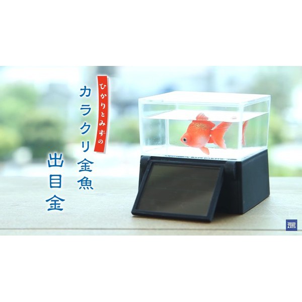 魯妮小窩 日本代購 Takara Tomy 超療癒太陽能供電金魚免插電免餵食 蝦皮購物