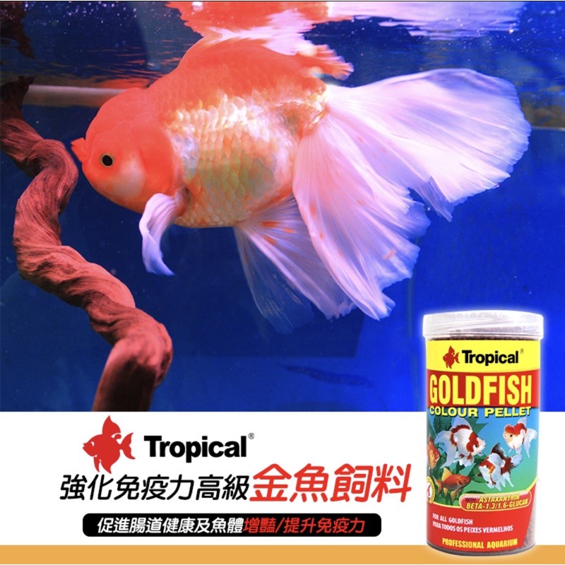 水族最便宜 金魚飼料tropical強化免疫高級金魚飼料250ml 熱帶魚飼料 蝦皮購物