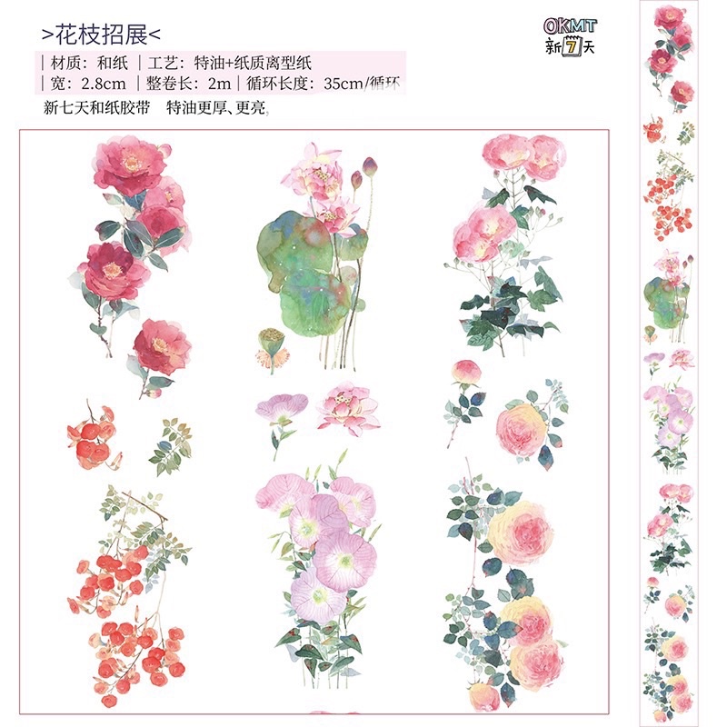 荷花薔薇的價格推薦 23年2月 比價比個夠biggo