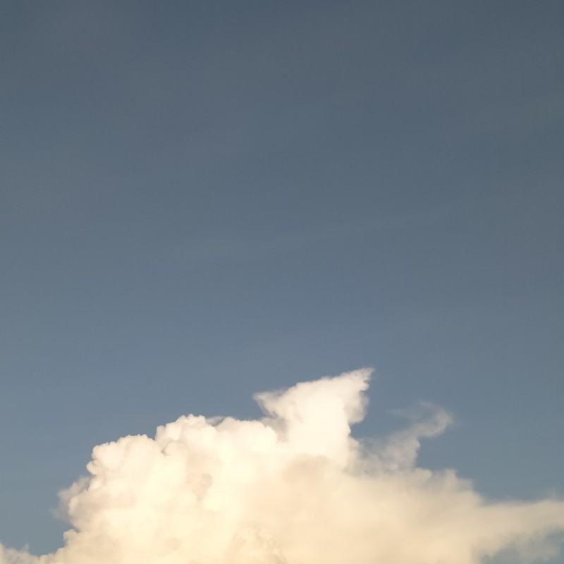 現貨 龍神nippon 日本男排國家隊立牌吊飾石川祐希柳田將洋西田有志清水邦廣高橋藍小野寺太志福澤達哉 蝦皮購物