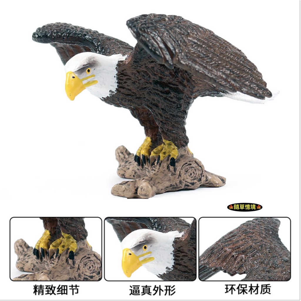 （高品質）仿真 猛禽 老鷹 白頭鷹 貓頭鷹 白頭海鵰 鳥 動物模型 野生動物 兒童玩具 益智 SPG