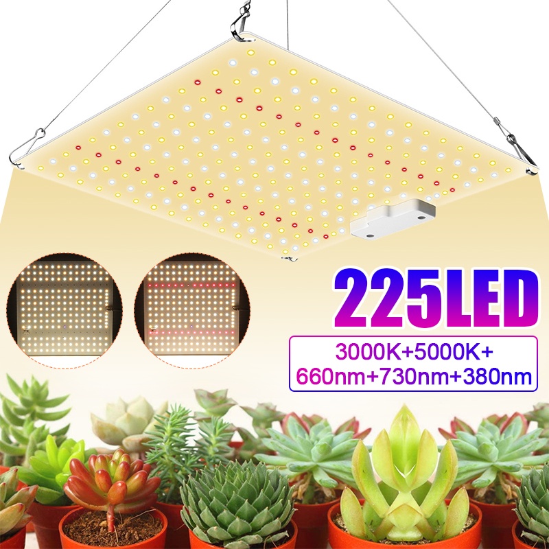 1000w LED 植物生長燈面板全光譜植物燈 AC100-277V 歐盟/美國插頭,用於室內種植帳篷植物生長燈
