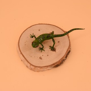 【AJ】彩色蜥蜴 綠色 黑綠紋 // 模擬動物 動物模型 動物擺飾 花盆裝飾 園藝裝飾 微景觀 盆景裝飾 多肉植物裝飾