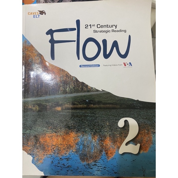 Flow 21st century  strategic reading