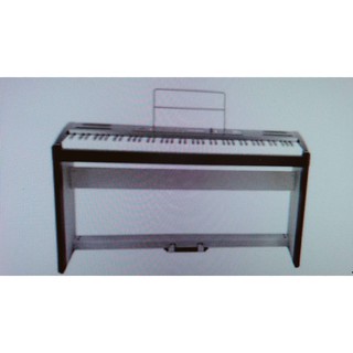 【匯音樂器世界】 最新發燒新品 Ringway 數位鋼琴 RP-30 新品上架 電鋼琴 電子琴 RP30