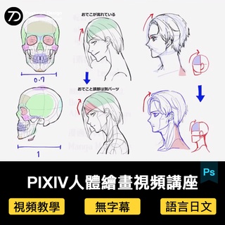 [繪畫教學] PIXIV漫畫素材人體結構比例透視構圖畫法P站繪畫視頻美術參考資料