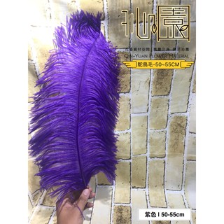【沁園】鴕鳥毛50-55cm-紫色