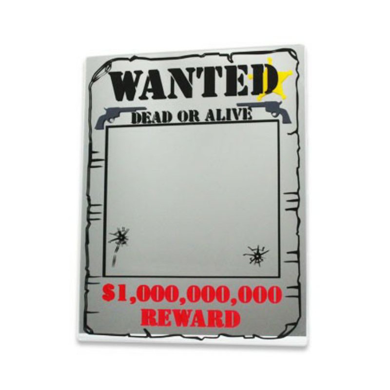 現貨通緝犯懸賞指名手配犯人懸賞海報鏡子趣味海賊王航海王經典美式wd1 蝦皮購物