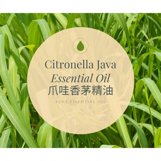【MW精油工坊】爪哇香茅 Citronella Java Essential Oil 10ml