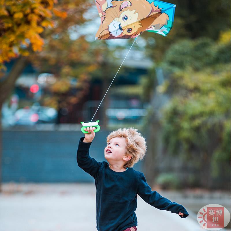 【賽博坦】現貨熱銷 迪卡儂兒童大型高檔成人風箏獅子熊貓三角易飛軟體適合初學者ODCK