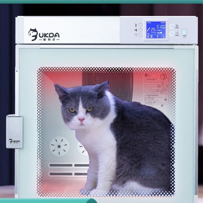 小小洋家具專營店歐科達寵物智能烘乾箱全自動貓咪烘乾機狗吹水機家用洗澡吹毛靜音
