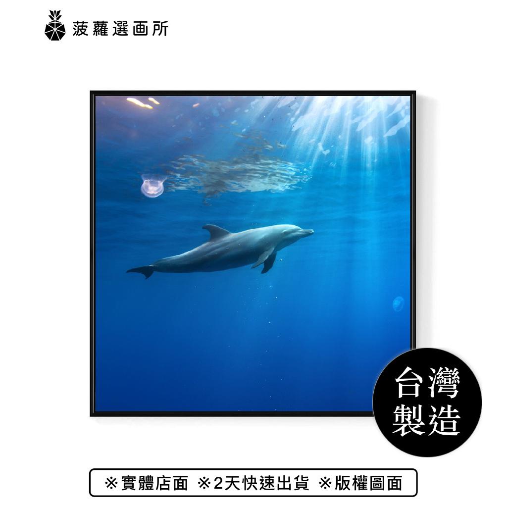 海豚的微笑 - 海洋/海豚/自然/民宿/咖啡廳/方形掛畫/方型畫作/微笑