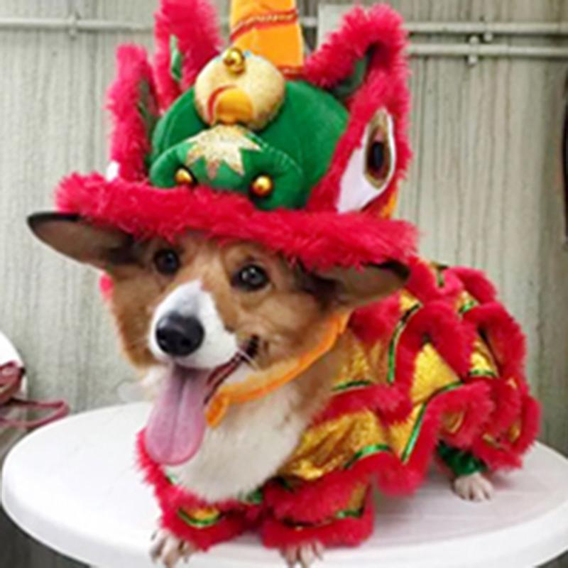 抖音網紅同款舞獅狗狗衣服寵物小型犬舞龍舞獅服貓咪套裝 蝦皮購物