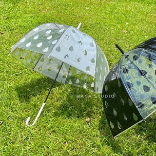 現貨🇯🇵雨天你最可愛🤍日本小眾品牌Noafamily貓咪透明雨傘 自動傘 宮廷傘 鳥籠傘 直傘 成人傘