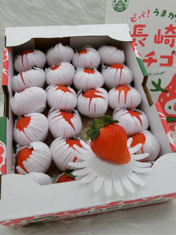日本長崎縣 糖蜜草莓 蝦皮購物
