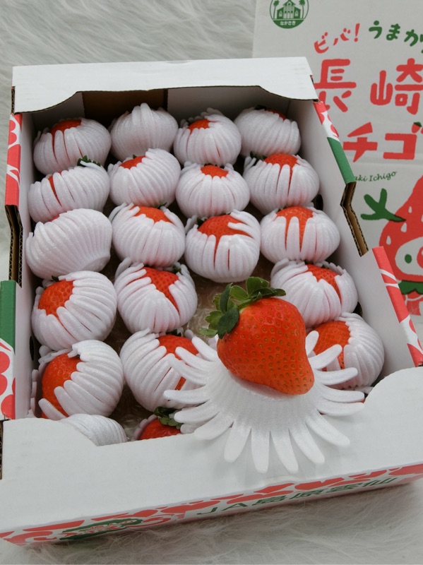 日本頂級熊本縣糖蜜草莓 優惠推薦 22年3月 蝦皮購物台灣