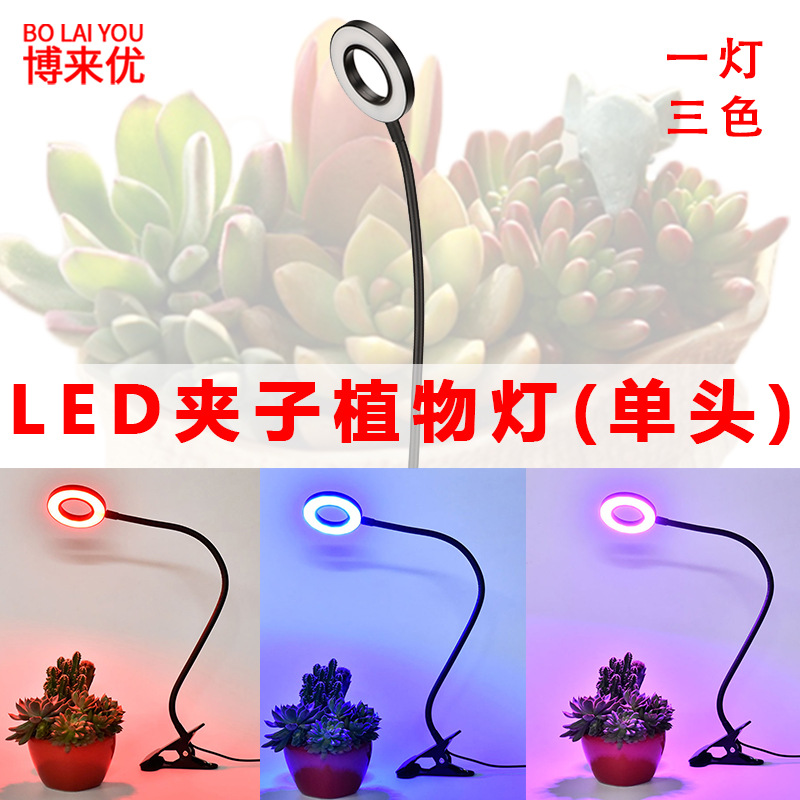夾子5v植物燈補光燈全光譜led多肉植物生長燈 蝦皮購物