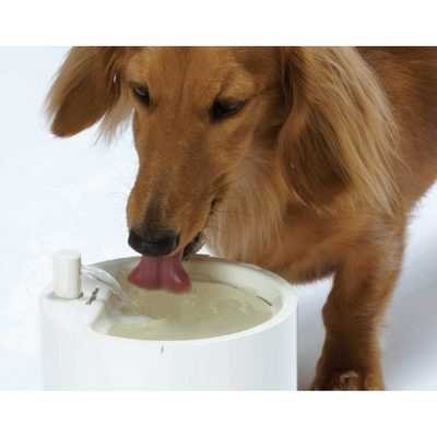 Doggy Man DM 愛犬用 CAFE自動飲水器 飲水機 濾式給水器 噴泉寵物水泵 餵水盆，每件1,320元