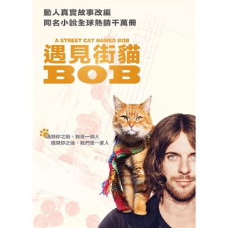 遇見街貓BOB(平裝版) DVD TAAZE讀冊生活網路書店
