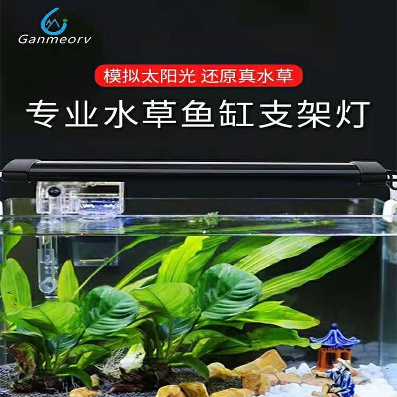 高仿chanel香奈兒錢包 可用免運卷 綠藻球 綠球 水藻球 水草 陰性水草 耐熱耐冷免打co2超好養 綠球藻 毯藻 綠毛球小綠藻球小藻球魚缸水草 I Sp Atk 優惠推薦