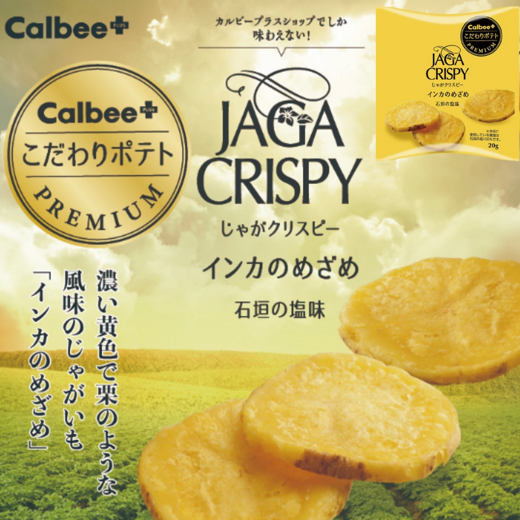 日本 卡樂比 Calbee+ JAGA CRISPY 厚片洋芋片 石垣塩味 三色薯條 日本洋芋片