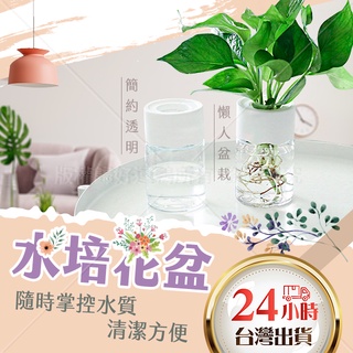 水培花盆 水培盆栽 懶人花盆 水耕盆栽 辦公室植物 水耕瓶 水耕花器 水培瓶 水培植物 水培花器 花器 水耕植物 水培