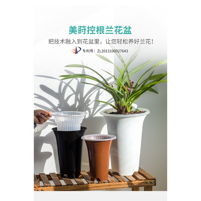 控根盆 現貨美蒔控根蘭花專用盆雙層透明塑料透氣超紫砂加厚蘭草花盆免瀝水罩 蝦皮購物