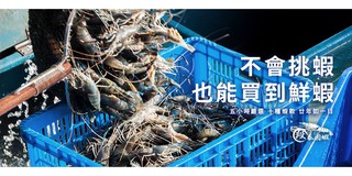 段泰國蝦 批發 零售 宅配 線上商店 蝦皮購物