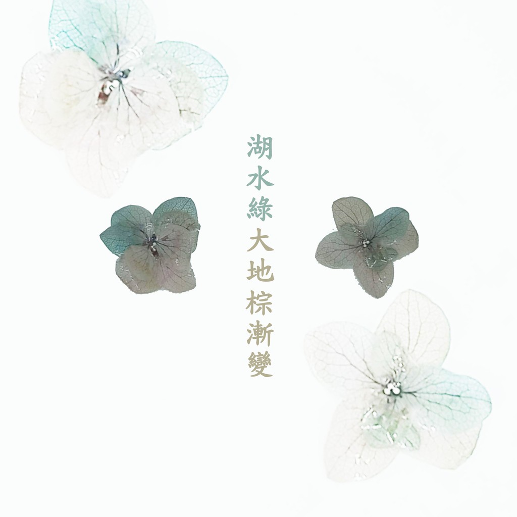 乾燥花 真花 樹酯 耳環 永生花 繡球花 手作 耳夾 [Narcissus 製戀飾品] 繡球花系列 湖水綠 大地棕 漸變