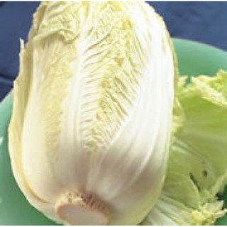 韓國品種山東大白菜兩顆入‼️特惠再送1顆3顆出貨