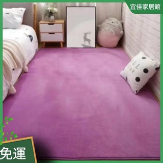 地毯 地墊 幾何簡約地毯 客廳地毯 沙發地毯 茶几毯 卧室 家用地墊 床邊毯 毛地毯 北歐風地墊 墊子