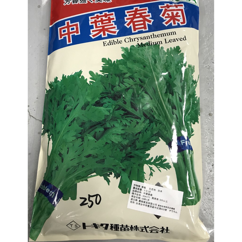 中葉春菊(山茼蒿) | 蝦皮購物 中葉春菊(山茼蒿) | 蝦皮購物