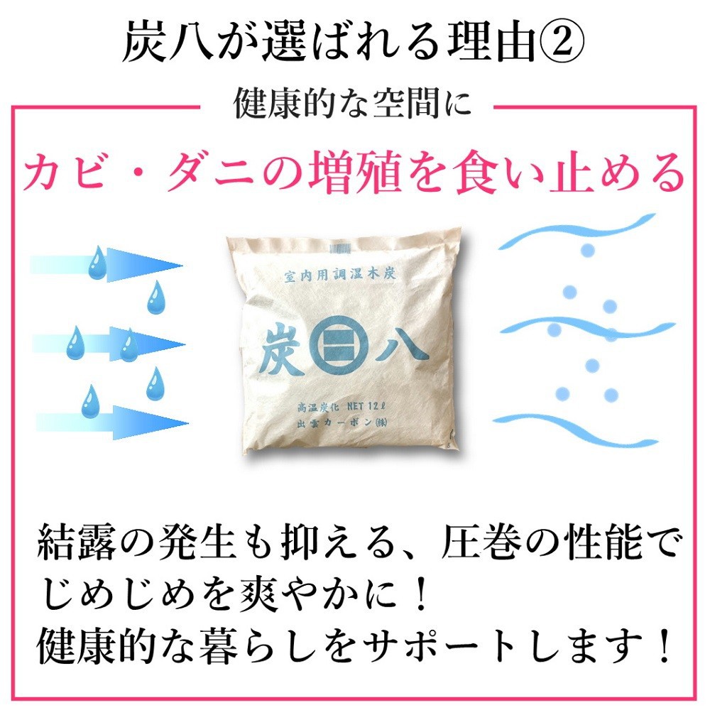梅雨季必備 日本 出雲神社炭八室內調濕木炭 多種尺寸顏色 任選 蝦皮購物