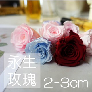 My Wonderful 2~3cm永生玫瑰頭，混色OK【不凋玫瑰／永生玫瑰】手做DIY婚禮花束玫瑰
