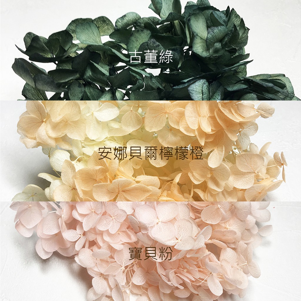 大特價 全新現貨 日本toka東北花材不凋繡球花系列 蝦皮購物