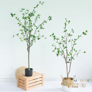 【免運】Warm House 仿真植物山茶樹 擺飾 室內植物裝飾 椿樹 綠化植物 植物擺飾 裝飾 居家裝飾 植物盆摘