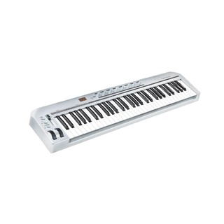 【台灣Jazzy】美規專業型 Midi Keyboard Controller，61鍵USB編輯器，電子琴/電鋼琴