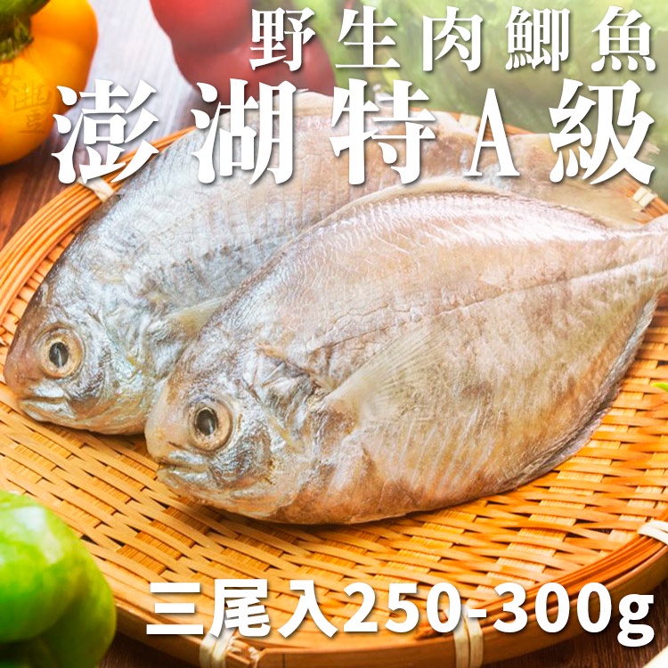 南海豐【特A級！澎湖野生厚實肉鯽魚】3尾入共250g-300g  肉質細嫩甜美/船撈急凍鮮度鮮！海鮮食材宅配/肉魚肉鯽仔