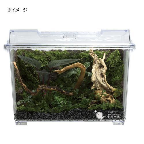 小郭水族 日本picuta 極床造型君生態造景塑形土4l 陀草侘草造形君生態缸兩棲造景缸高黏性水族黑土