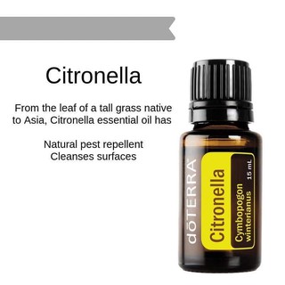 【美國新品】多特瑞 香茅精油 Citronella 15 mL EXP：2029美國總公司~最新鮮～